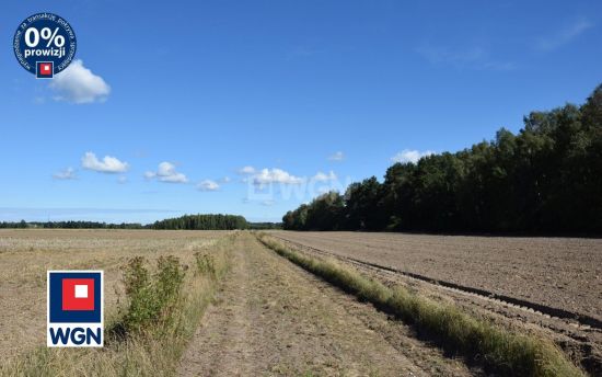 Działka rekreacyjna na sprzedaż Bruskowo Wielkie